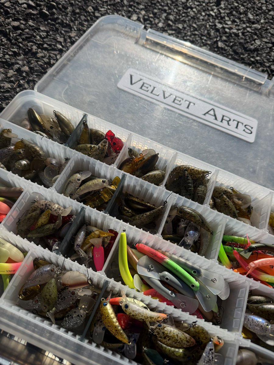 伊藤雄大 (@yudai_fishing_t) / Posts / X