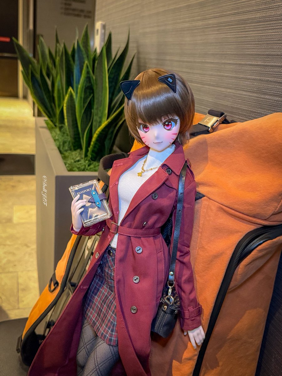 AndroidPDF's tweet image. 祝ちゃん: 空港に到着ニャ〜💕✈️✨ฅ(Ф∀Ф)ฅ✨

Iwai-chan: Check-in complete, nya~💕✈️ Just waiting to fly off now! ✨ฅ(Ф∀Ф)ฅ✨

#maruko_halu #1pinfun #smartdoll #smartdollprowess #smartdoll祝 #dolljpf