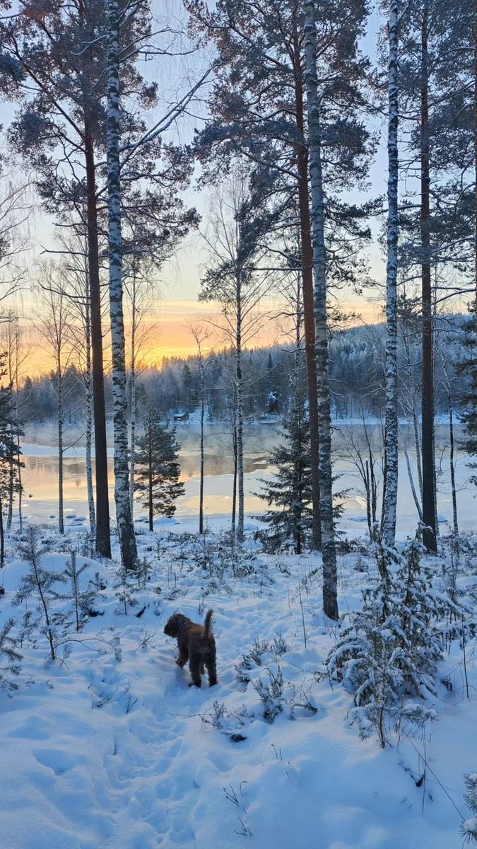Huomenta ☺️ 
Kaksi vuotta sitten oli hieman talvisemmat maisemat ❄️
Nyt vielä vartotaan talvea, ja tänään nautitaan ykkösvapaasta (eli viikon ainoasta vapaasta keskellä viikkoa) ☺️

#ThrowbackThursday