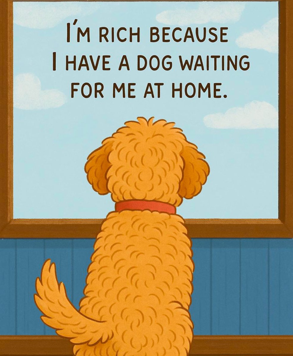 Puppieslover's tweet photo. https://t.co/A8o7herK7T