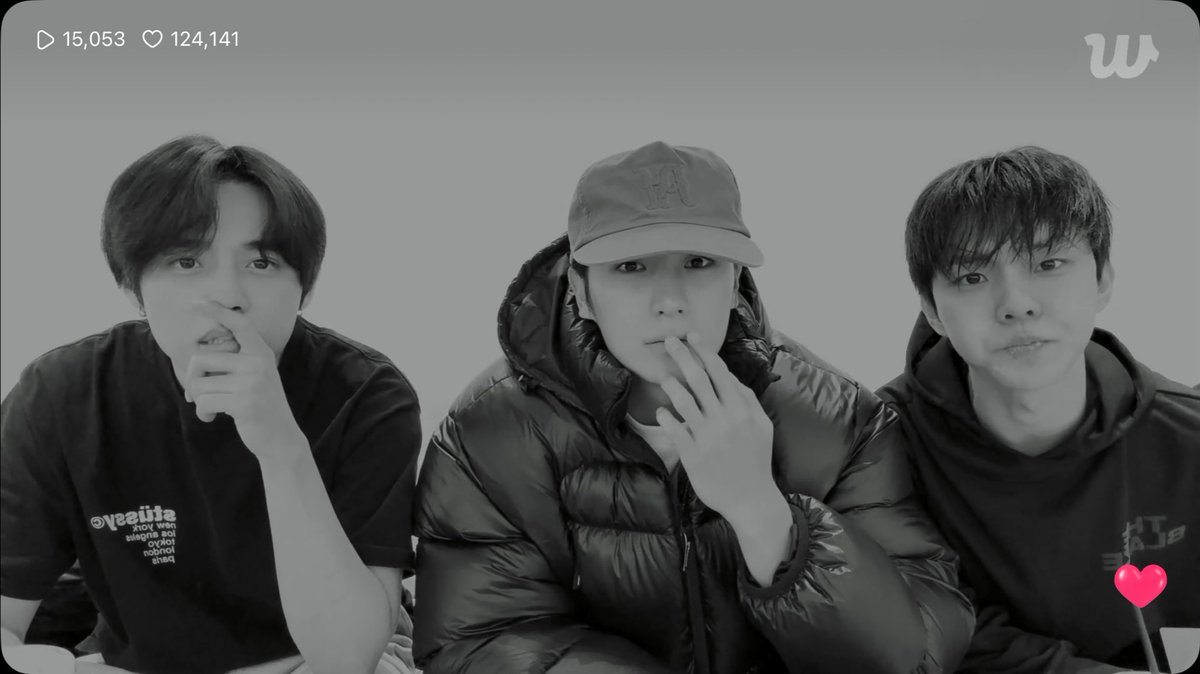 벽이다 tweet media