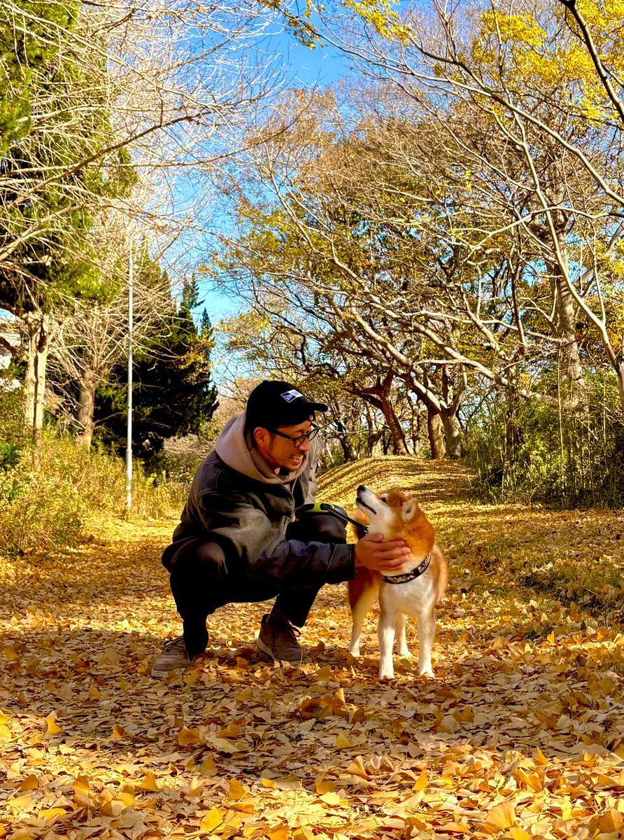 ARIMAX_SixPack's tweet photo. 行く秋、冬隣。

#晩秋
#冬隣
#柴犬 https://t.co/9EQRQYuf4L