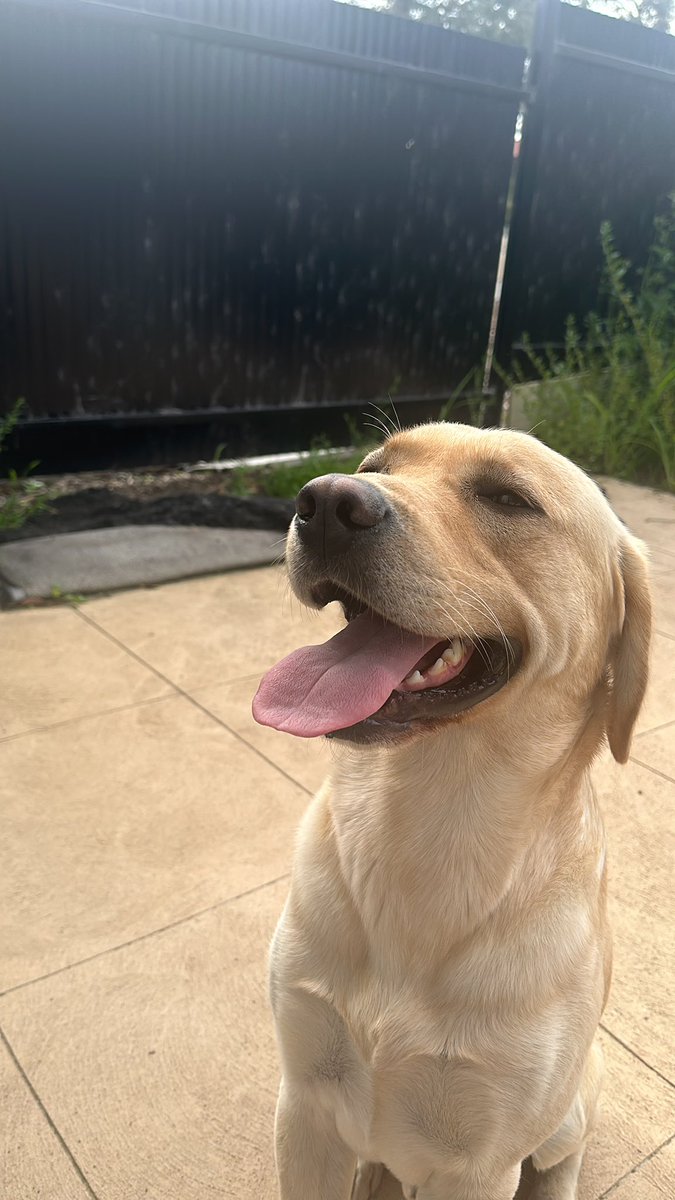 NFTGUYY's tweet image. GM

great weather today, wby ☀️