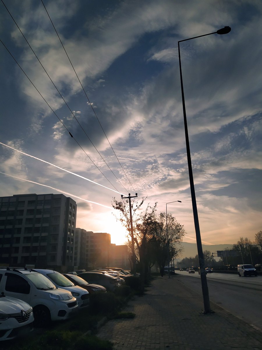 ぎゅないどうぅん☀️
ルーチン病院詣でを終えたらとうとう引っ越し狂騒曲開始。自分の経済的自立はできてないので色々延長の事もなきしにもあらず😒　息子の学校周辺、お隣の地区に引っ越すので遠くではないから生活圏はほぼ変わらずなのは楽だね。