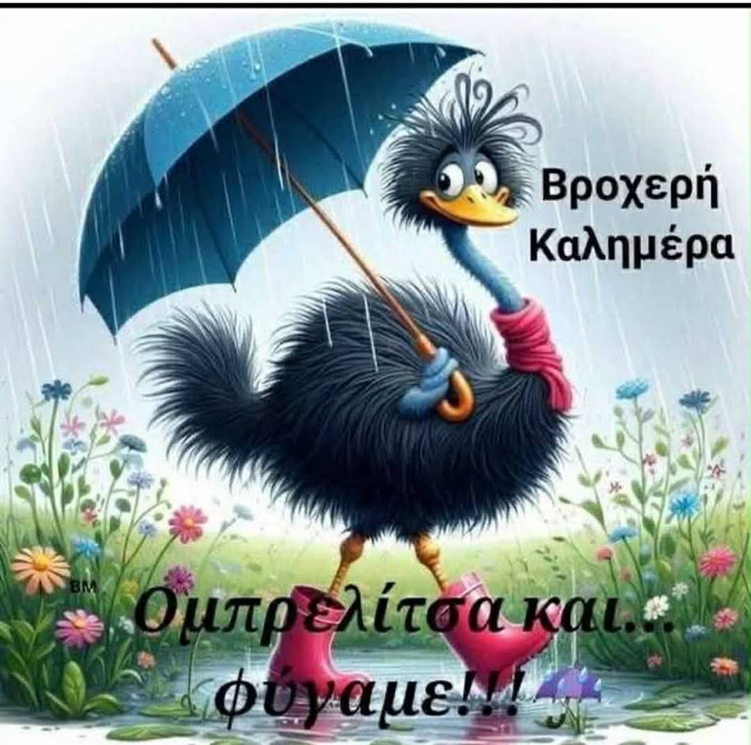 Όμορφη Πέμπτη Καλημέρα σε όλους τους φίλους του Τουίτερ ❤️🌲🌲🌲🌲