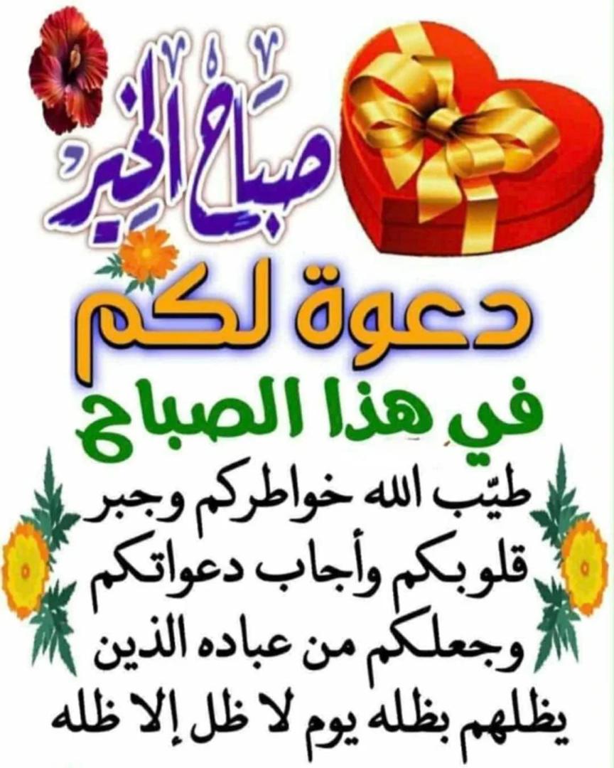 Maeen tweet media