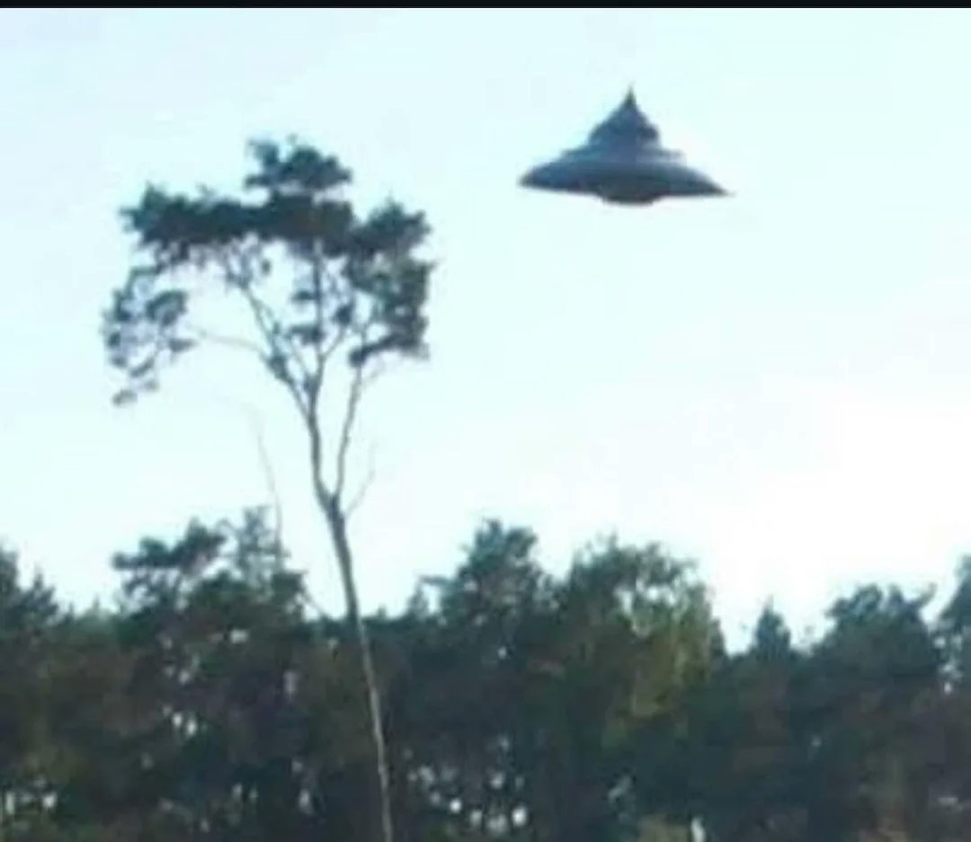 June Jastrovo Poland UFO...🧐🤔🛸🛸🛸🛸🛸
“The witness was riding a bicycle when he saw the object. He reported  that the UFO made a loud and strange sound as it approached the tree  tops. Within seconds it was gone.”