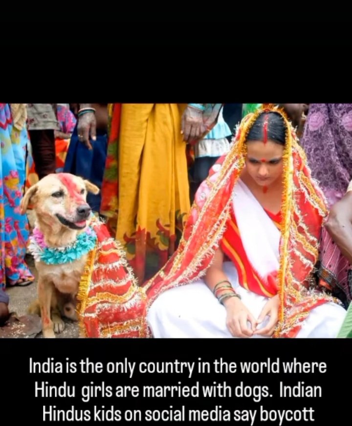 Fawad875's tweet photo. @n7ant @stats_feed And not with the dogs as well. Reason for low divorce rate.. https://t.co/XM4RAYz8nM