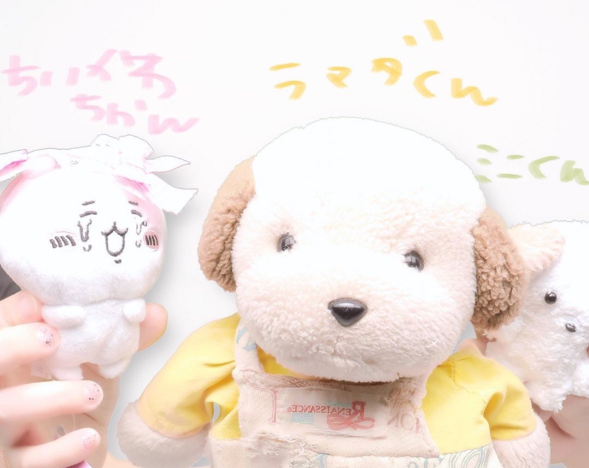 12月新企画あり❣️🐶 乞うご期待📗🌟