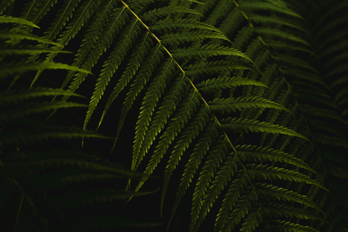 AtabeyXOfficial's tweet image. NEWSLETTER | Strategy, Design &amp;amp; Impact for a Net-Positive Future🌍✨

AtabeyX creates digital business innovations that merge technology, creativity, and regeneration. Learn more and sign up for our newsletter here: atabeyx.odoo.com/subscribe