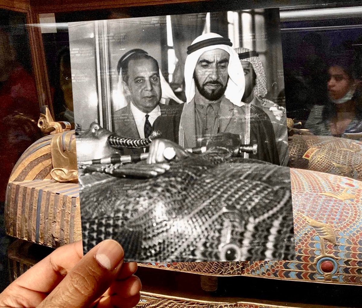 💮 فاضل المهيري tweet media