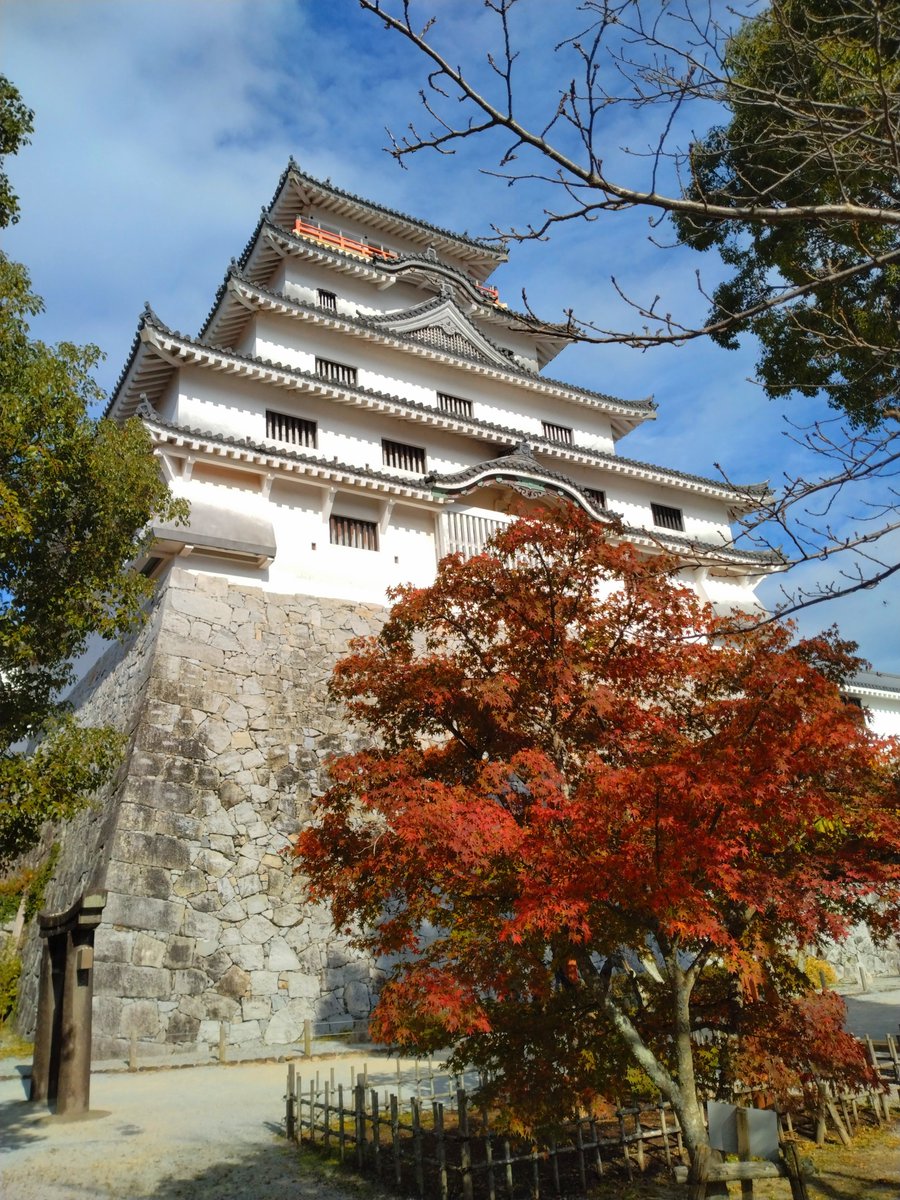 🏯唐津城です🏯
12月に入り肌寒い日が続いていますが、舞鶴公園内のモミジが見頃を迎えております🍁
週末のお出かけに唐津城での紅葉狩りはいかがでしょうか📸