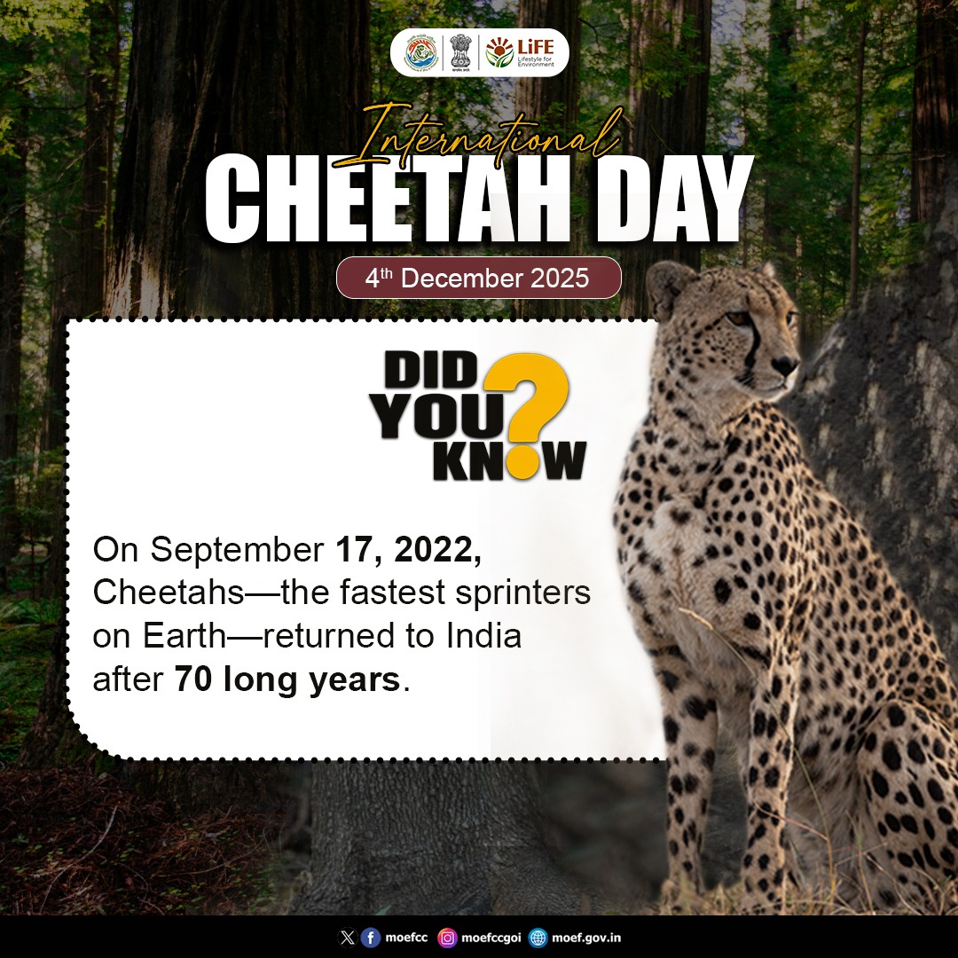 moefcc's tweet image. After 70 long years, the world’s fastest land animal made its return to India in 2022—an important milestone for conservation.

 #InternationalCheetahDay #CheetahDay #MissionLiFE
#ProPlanetPeople
