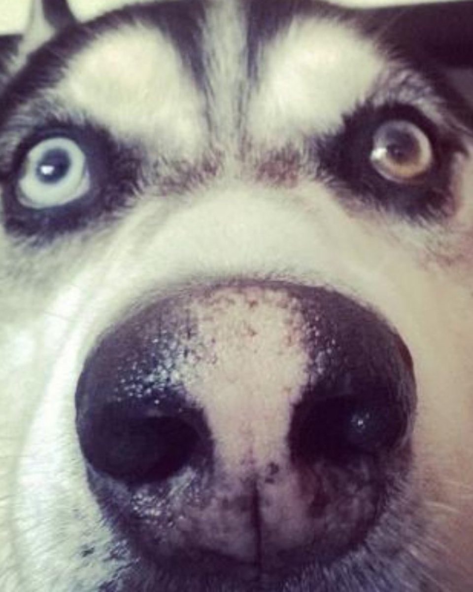 uhhhhh well we won! 

UCLA holds on 82-80 to beat UW