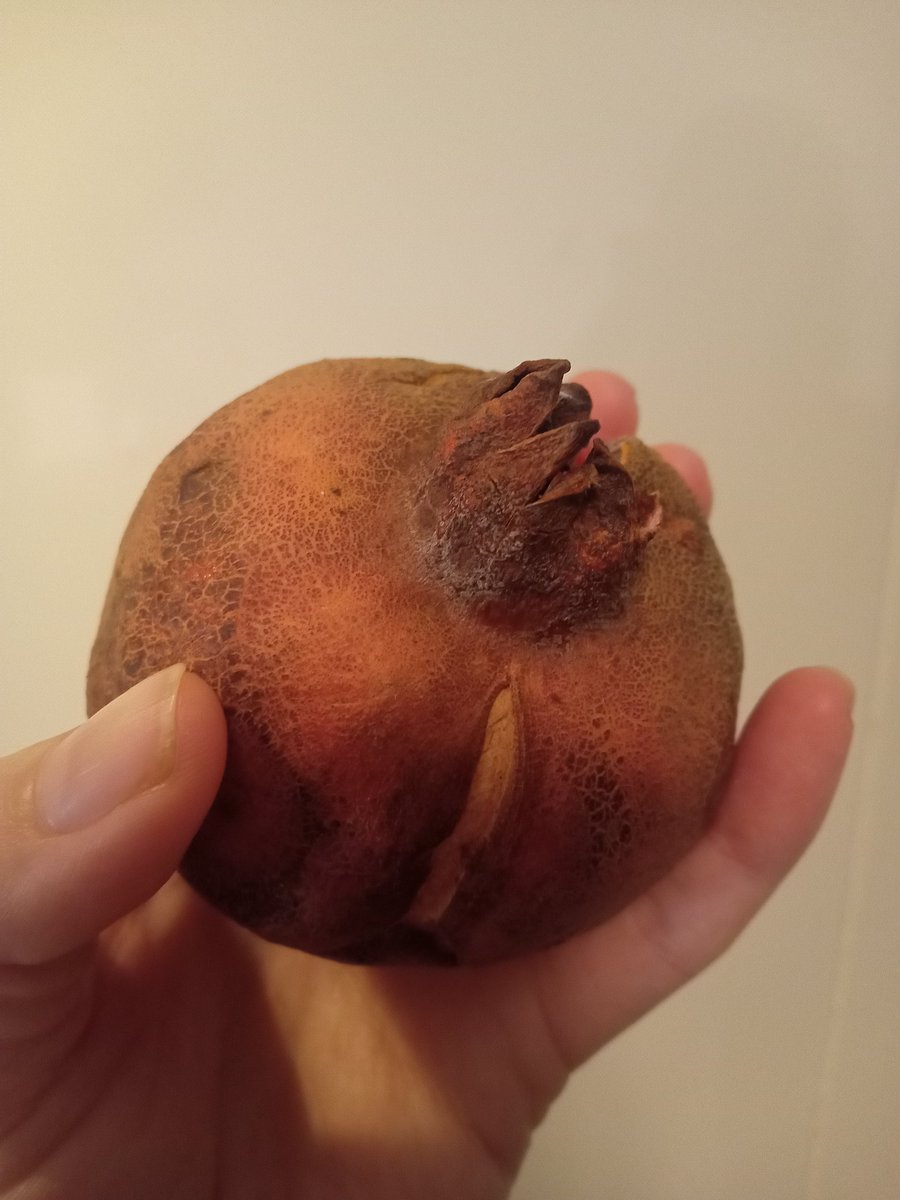 カヨ(牝) (@kayOKayo444) / Posts / X