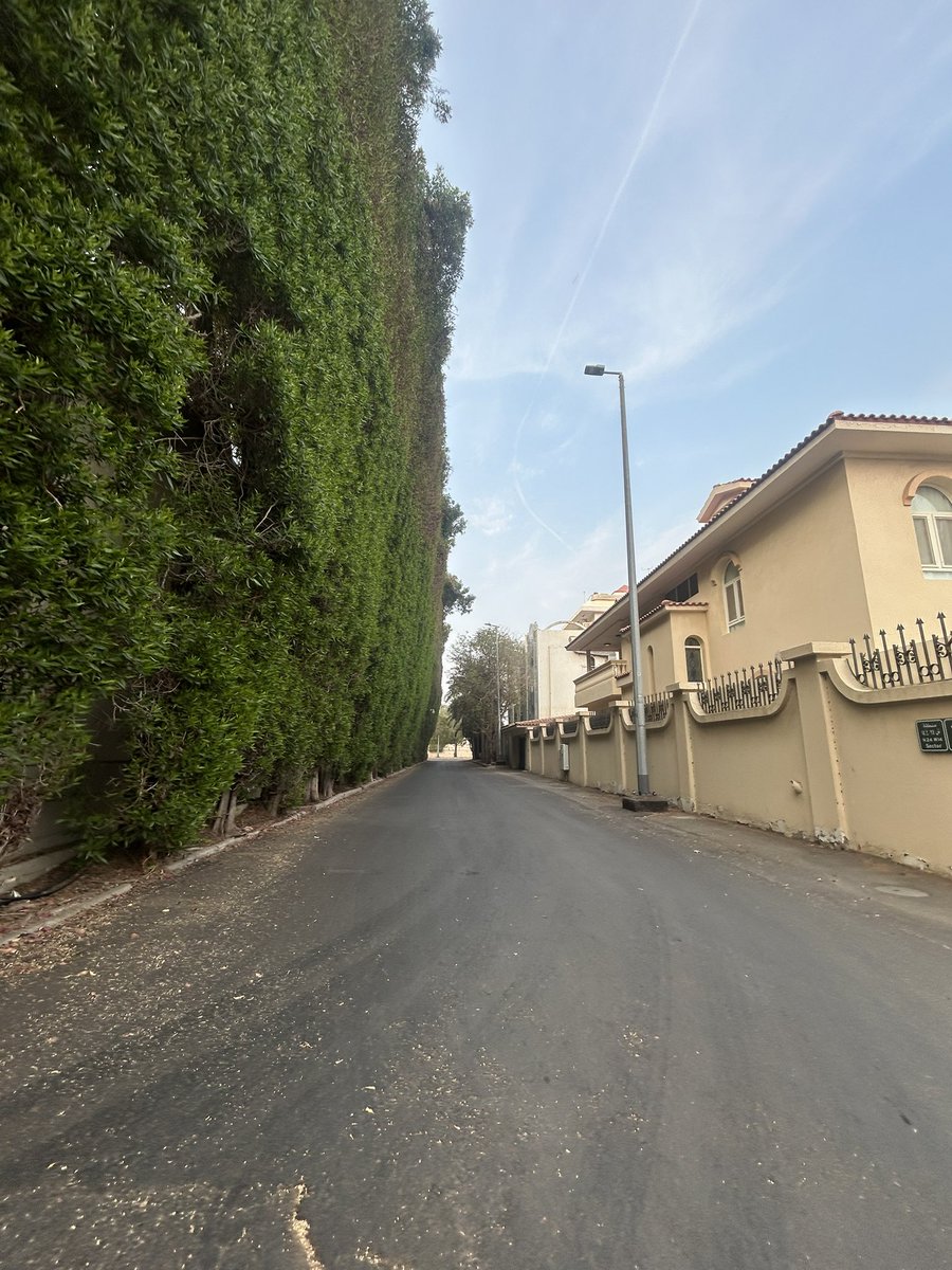 عبيد بن عبدالرحمن tweet media