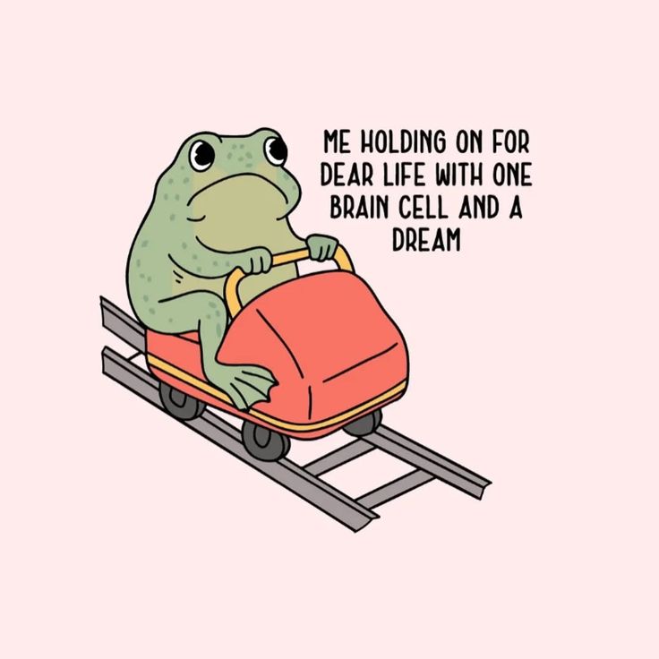 nocontextfrogs's tweet image. 