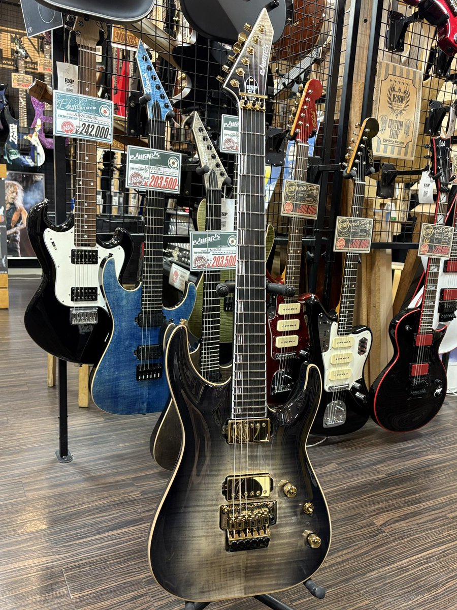 Edwards Horizon Custom Classic フレイムメイプル Edwards Horizon