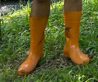 kc lee (@kclee0547216816) on Twitter photo 