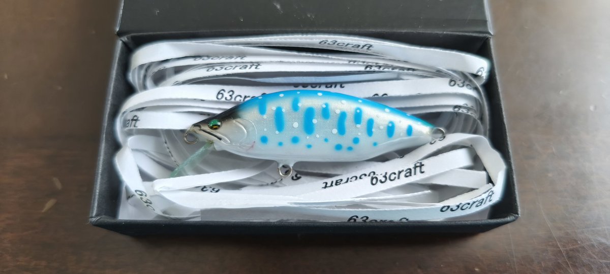 憧れのハンドメイドルアーを手に入れることが出来たぞ… 美しさとカッコ