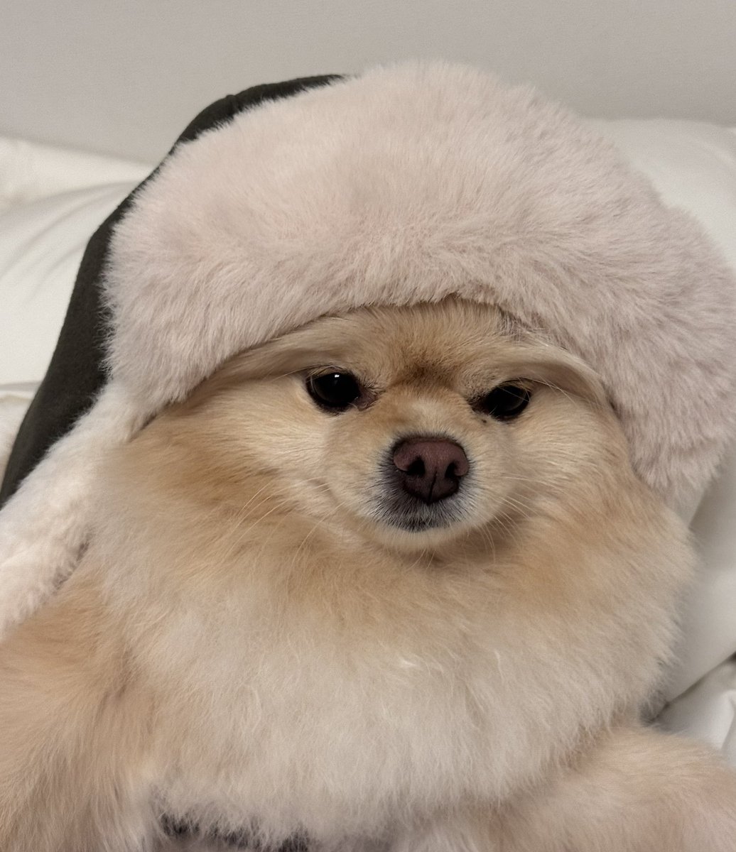 윽 날씨 무슨일 곧 눈도 내리겠군
다들 얼지 않게 따뜻하게 입으시오!