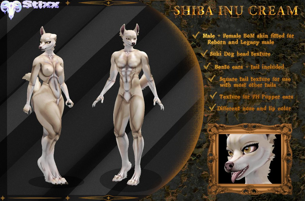 Quix_Squeak's tweet photo. I am excited to announce a new release for the Suki Dog head. Shiba BoM mods! Here's a link to the fatpack, in the related items below it are individual colors
https://t.co/BaelvXGs13
#furry #furrycommunity #Secondlife #secondlifefurry https://t.co/0H81JKG6J8