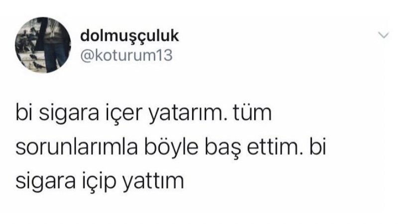 İT KÖPEK A.Ş. (@itkopekas_) on Twitter photo 