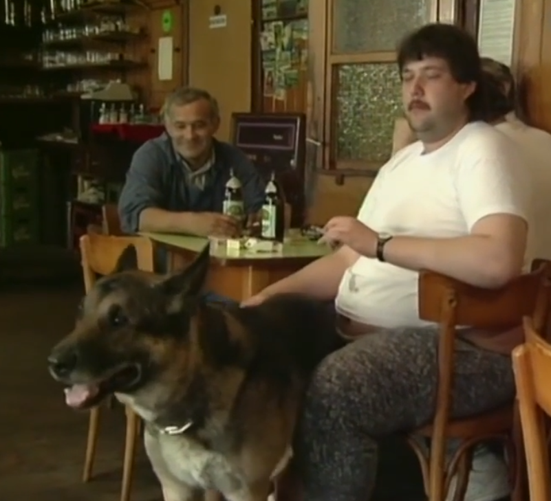 Powermaennchen tweet media