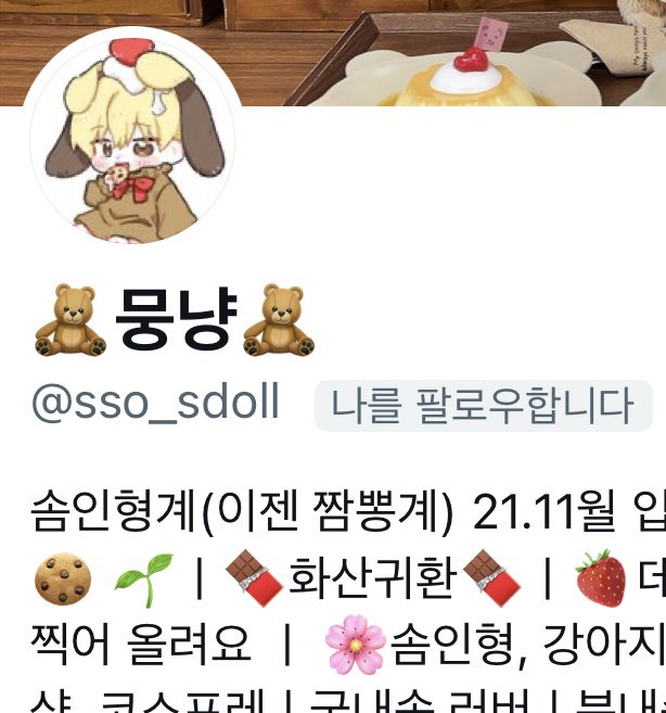 🌼PROJECT DOLL(BUSAN) : 부산 프로젝트돌 tweet media