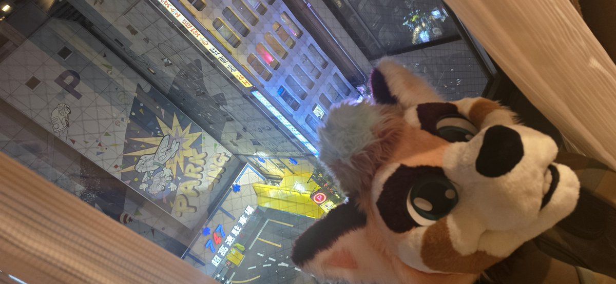 PascalWahhh's tweet image. Running around shinjuku and meeting my fellow #wah 's. Caught them lacking but I don't blame them, it's fkn cold.

#wahworldwide