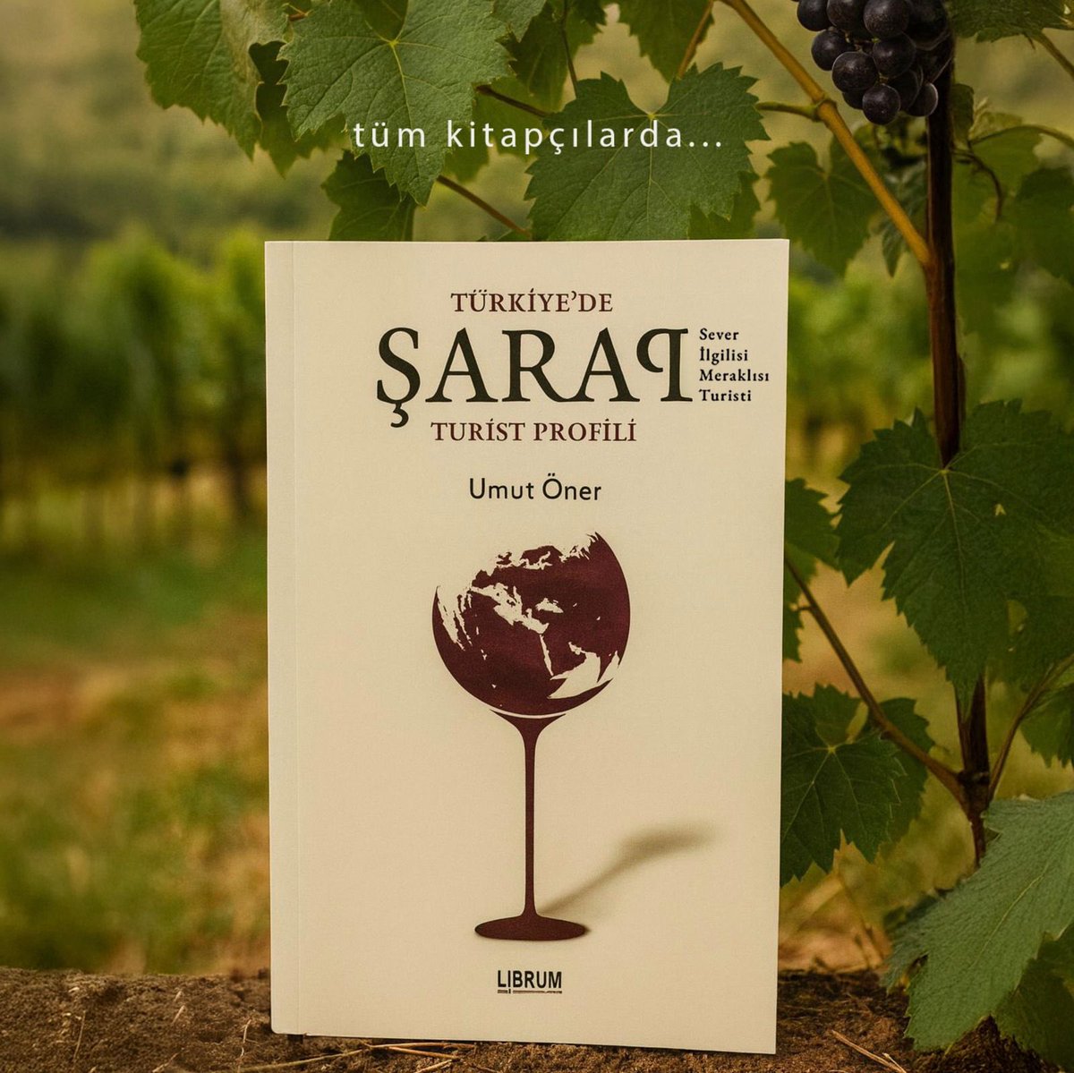 Türkiye’de son yıllarda hızla gelişen şarap ve bağ turizmi, hem üreticiyi hem de kırsal alanları destekleyen güçlü bir alternatif turizm türüne dönüşmüştür. Bağların zenginliği ve şarap rotalarının çeşitliliği göz önünde bulundurulduğunda, Anadolu’nun şarap turizmi açısından