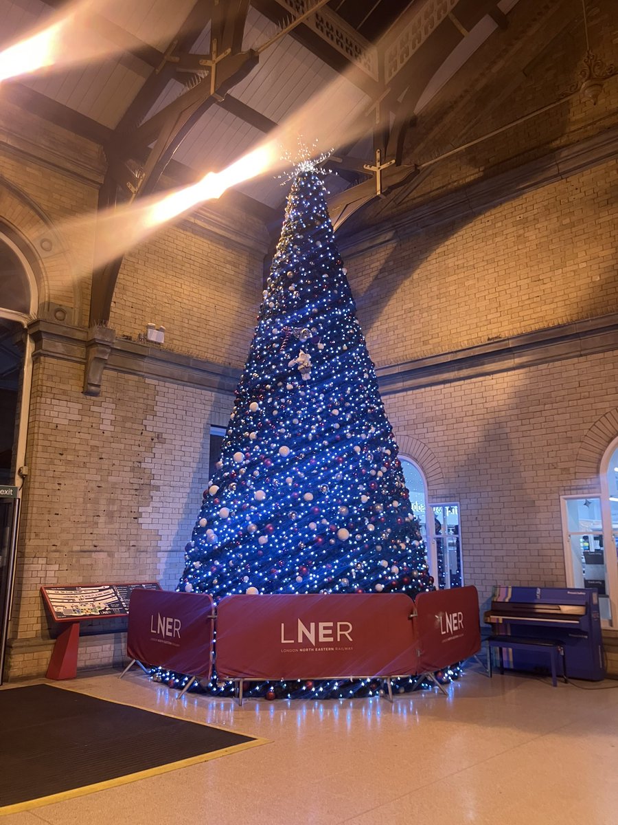 Tess Page tweet media