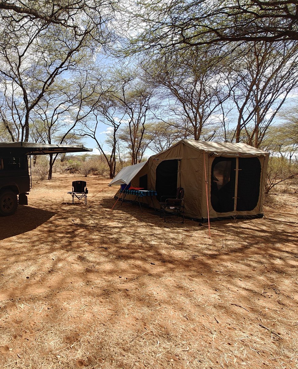 TheOztentGroup's tweet image. Under the shade of the acacias at Kalama Conservancy, Northern Kenya.⁠
⁠
#oztent | #discovermore | #30secondtent | #campinglife