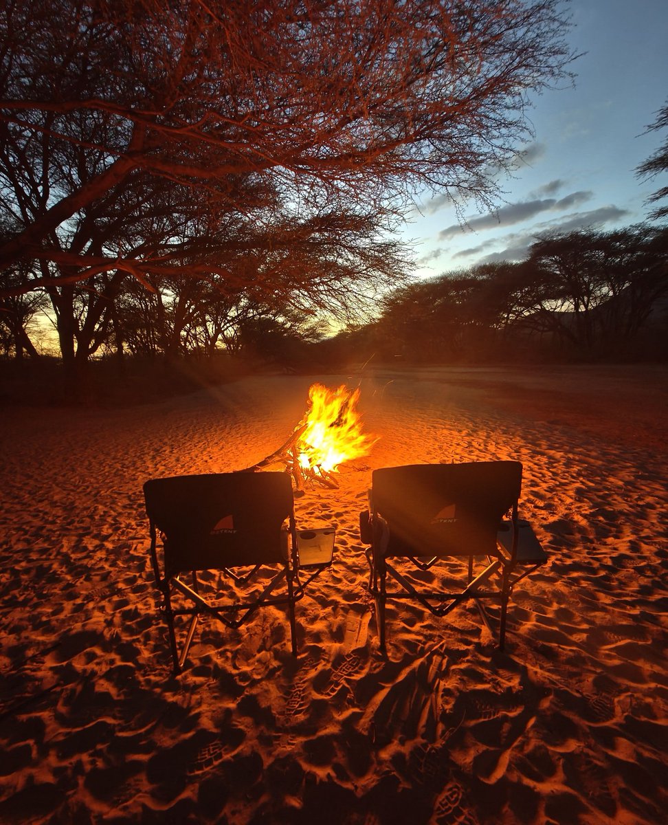 TheOztentGroup's tweet image. Under the shade of the acacias at Kalama Conservancy, Northern Kenya.⁠
⁠
#oztent | #discovermore | #30secondtent | #campinglife