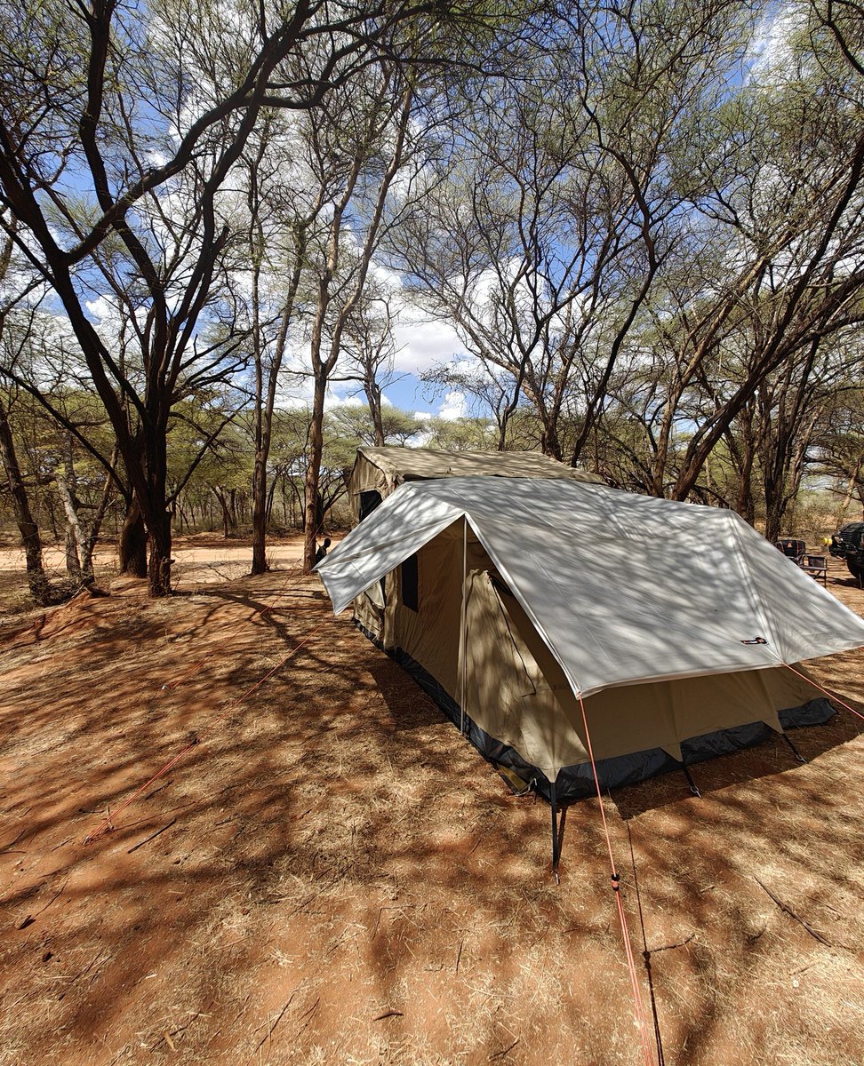 TheOztentGroup's tweet image. Under the shade of the acacias at Kalama Conservancy, Northern Kenya.⁠
⁠
#oztent | #discovermore | #30secondtent | #campinglife