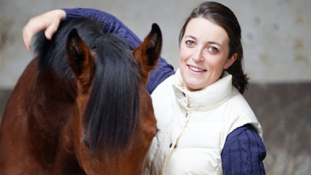 AIDANOBRIENFANSITE tweet media