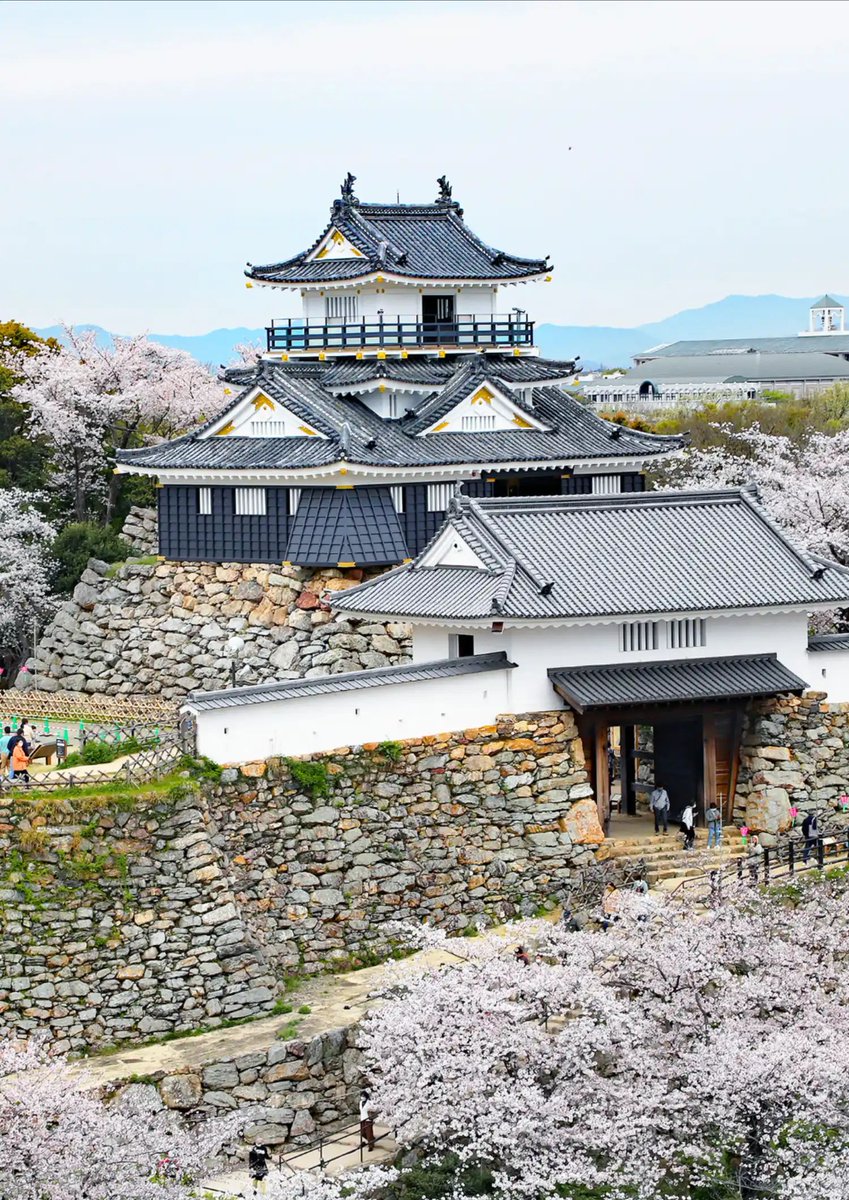 静岡県スポーツ・文化観光部 (@shizuoka_to_go) / Posts / X