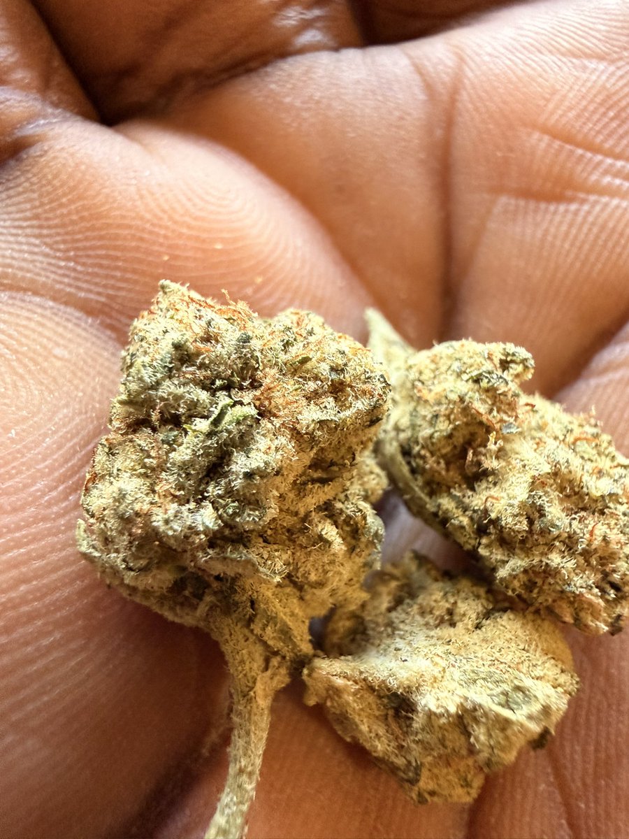 Abuja loud ain’t bad….