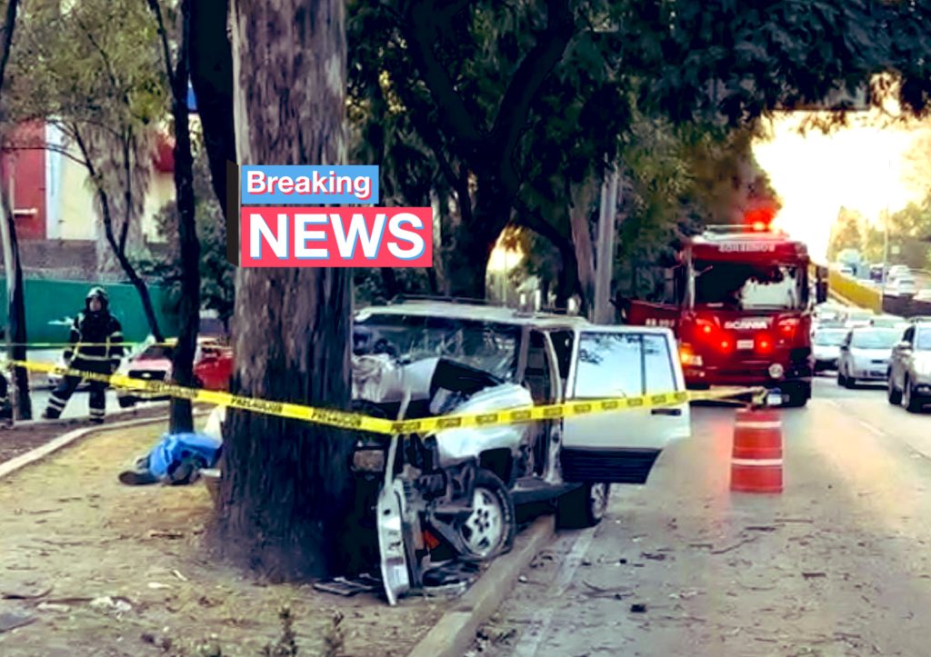 HalconOnce's tweet photo. CHOQUE MORTAL….
Carriles centrales de #RioChirubusco a la altura de Sur 99 en la colonia #SectorPopular en @Alc_Iztapalapa.
El conductor de una camioneta terminó impactado contra un árbol del camellón con dirección a la Central de Abastos. https://t.co/JLkaXa33Id