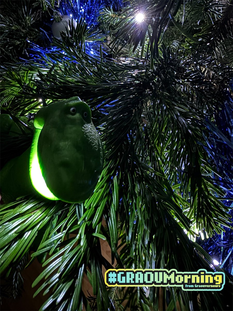 #GraouMorning Noël J-?