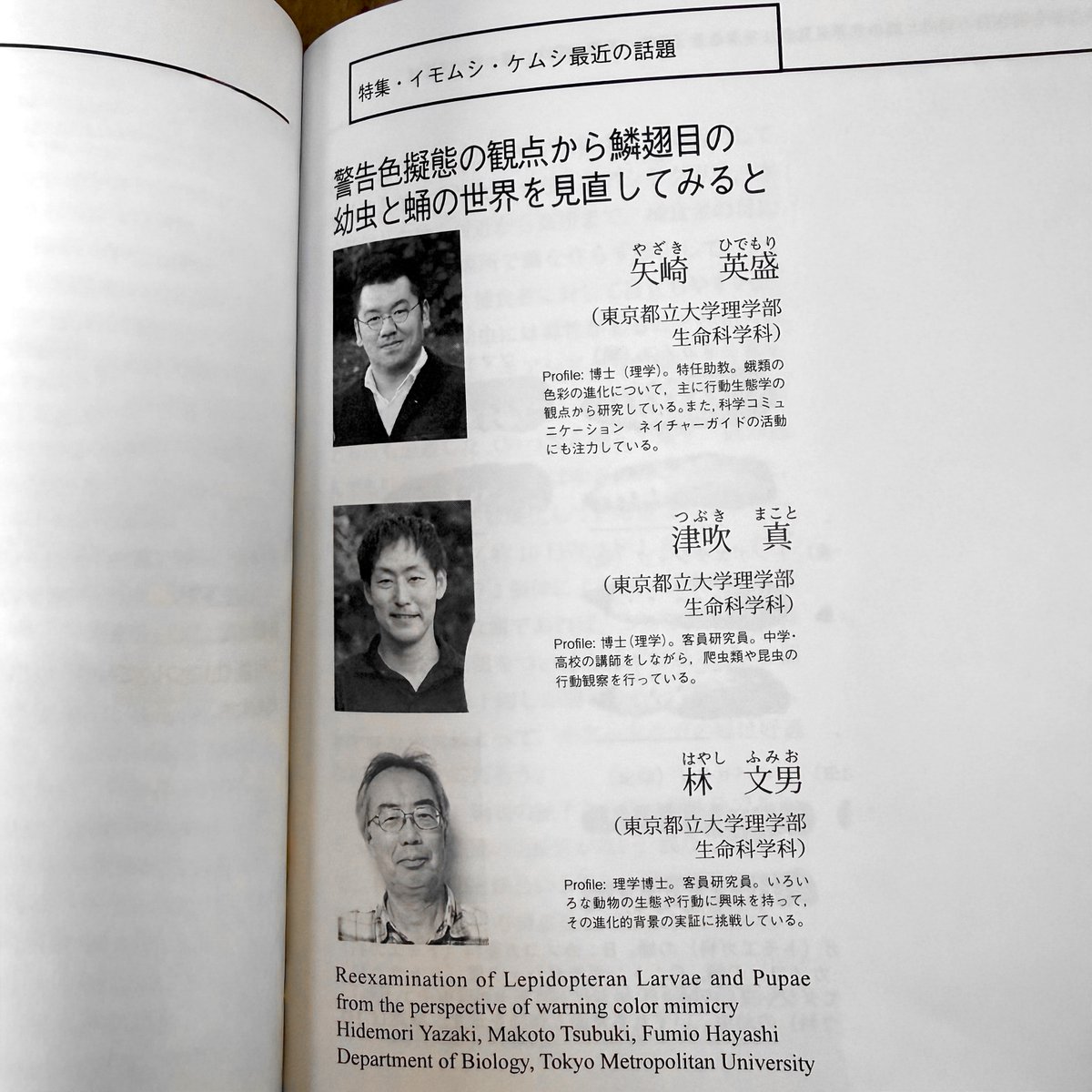 鱗翅目の幼虫と蛹の警告色と擬態について、『昆虫と自然』2025年12月臨時増刊号「イモムシ・ケムシ最近の話題」に、日本語での研究紹介を寄稿しました。
都立大のチームで行ってきた、行動実験による検証の試みです。
奥の深いテーマなので、引き続き実験を工夫しながら研究を進めたいと思っています。