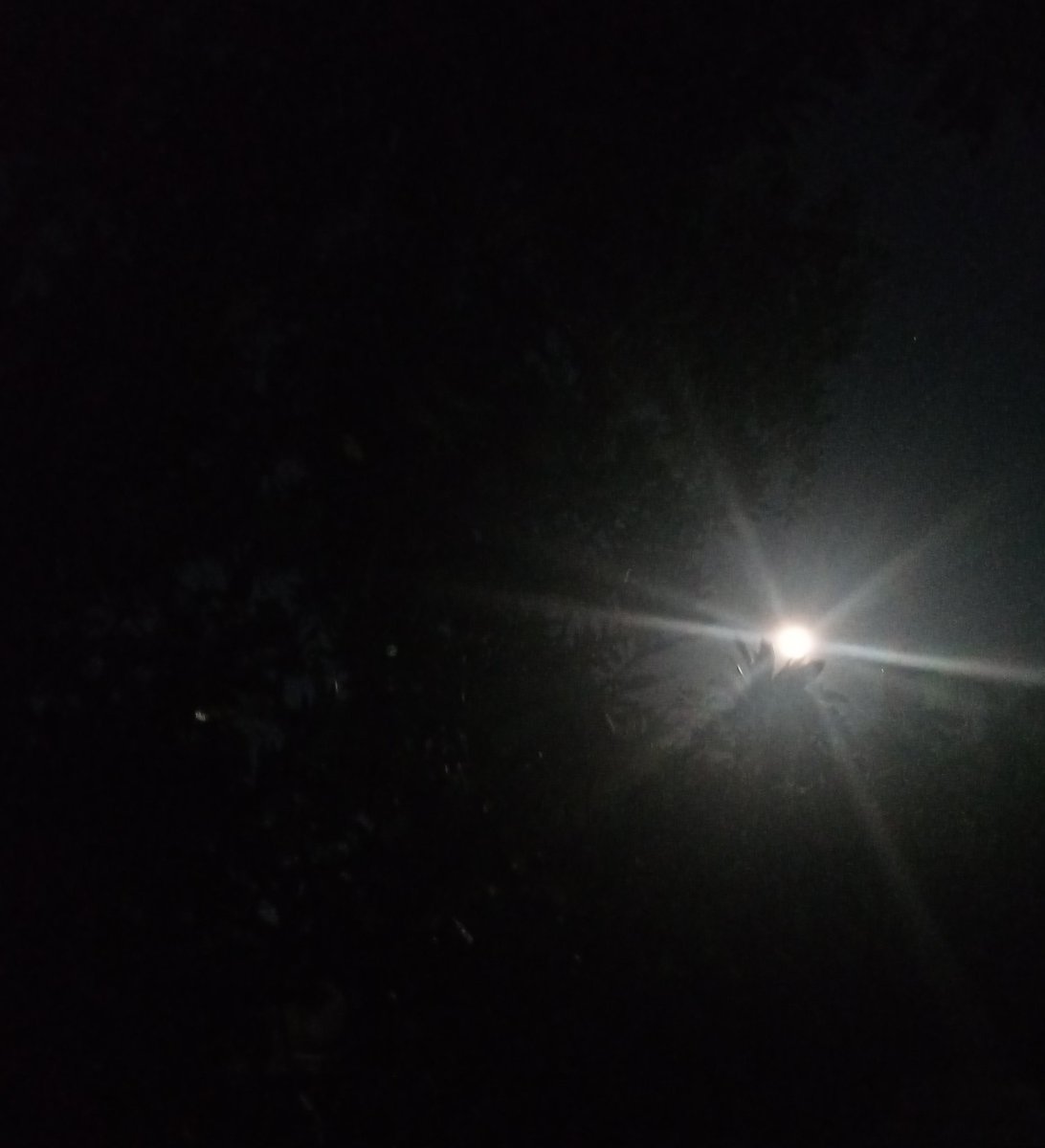 Ladysparda's tweet photo. The last super full moon of the year!!! 🌕🖤✨

#FullMoon #Supermoon #ColdSupermoon #LunaDeLaNocheLarga #LunaFria https://t.co/RDpKmQ2fmA