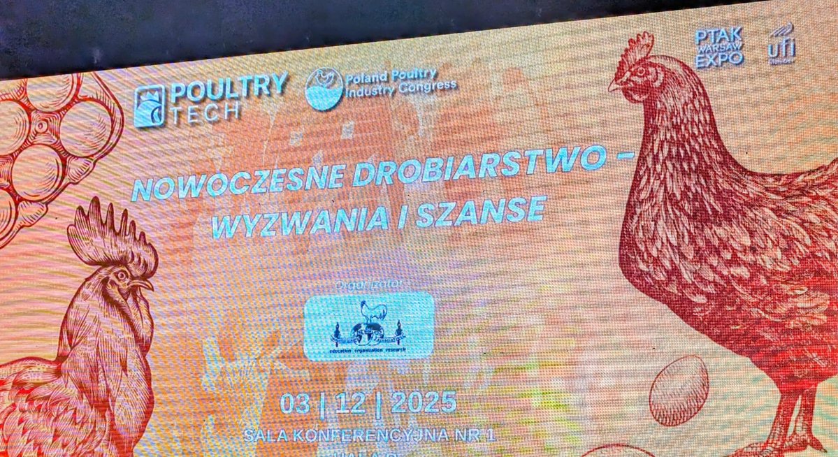 Podczas debaty „Nowoczesne Drobiarstwo – Wyzwania i Szanse” na targach Poultry Tech 2025 Prezes KRD-IG Dariusz Goszczyński zaapelował o zdecydowane wzmocnienie działań w zakresie ochrony zdrowia stad.

– Apeluję o rygorystyczne podejście do szczepień i bioasekuracji, bo wirus