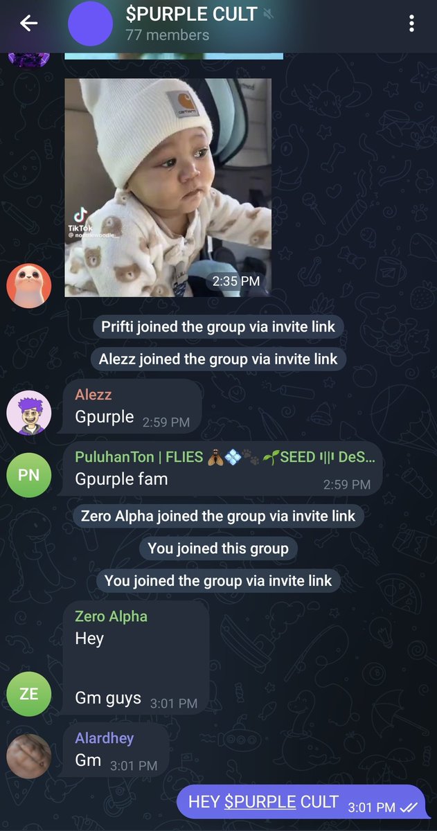 just got added to the $PURPLE CULT tg  

no year-long grind, no daily tweet spam, no discord essay contests… just quietly in the real group now  

this is what winning feels like 💜
