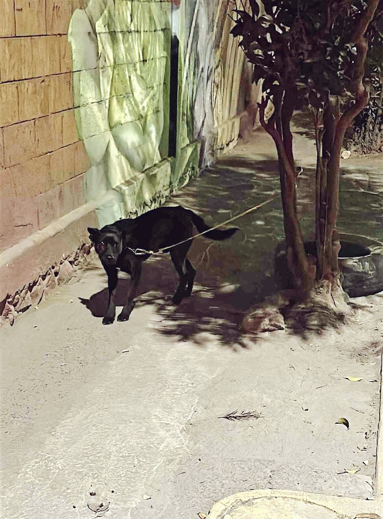 Reportaje Urbano tweet media