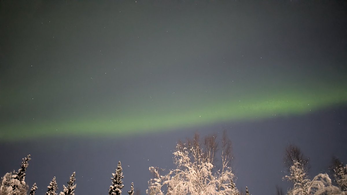 AuroraNotify's tweet image. North Pole Alaska, Fairbanks region. Look up! And a beautiful moon lit sky as well.