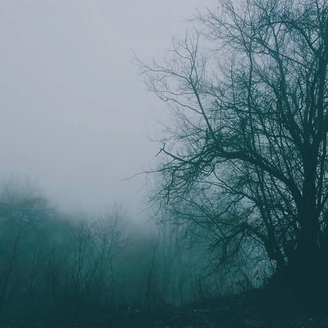 isills's tweet photo. In the middle of nowhere.
#chasingfog #VSCO https://t.co/5ZbWyq1See