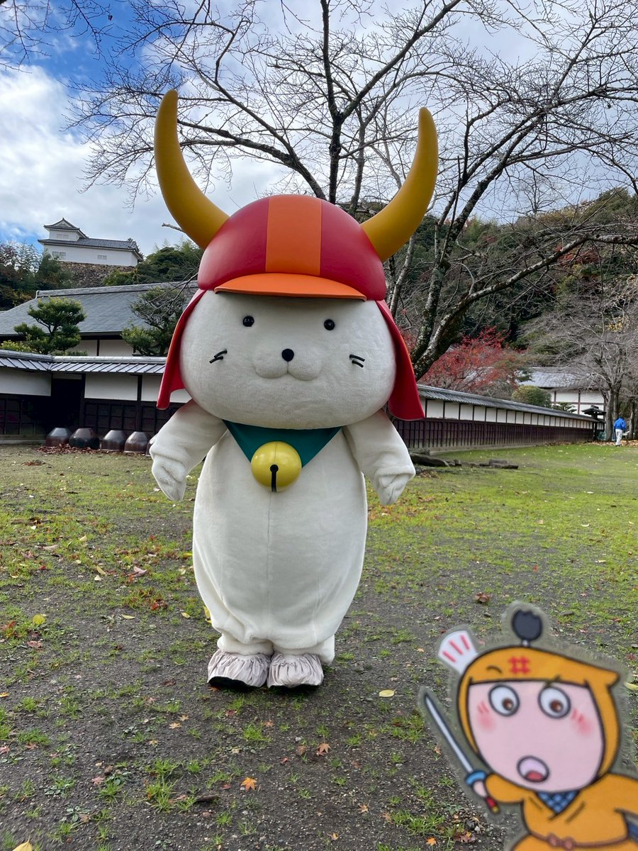 本日、#彦根 は時々雪が降っていたでござるよ❄️

いつも通り #ひこにゃん 殿のお散歩にお供していると、雪だるまを見つけたでござる❗️雪はまだ積もっていないでござるが…

ややっ⁉️ひこにゃん殿でござったか😳
完璧な変身でござるね✨

#いいのすけ #驚きで忍べず #兜を被った雪だるま