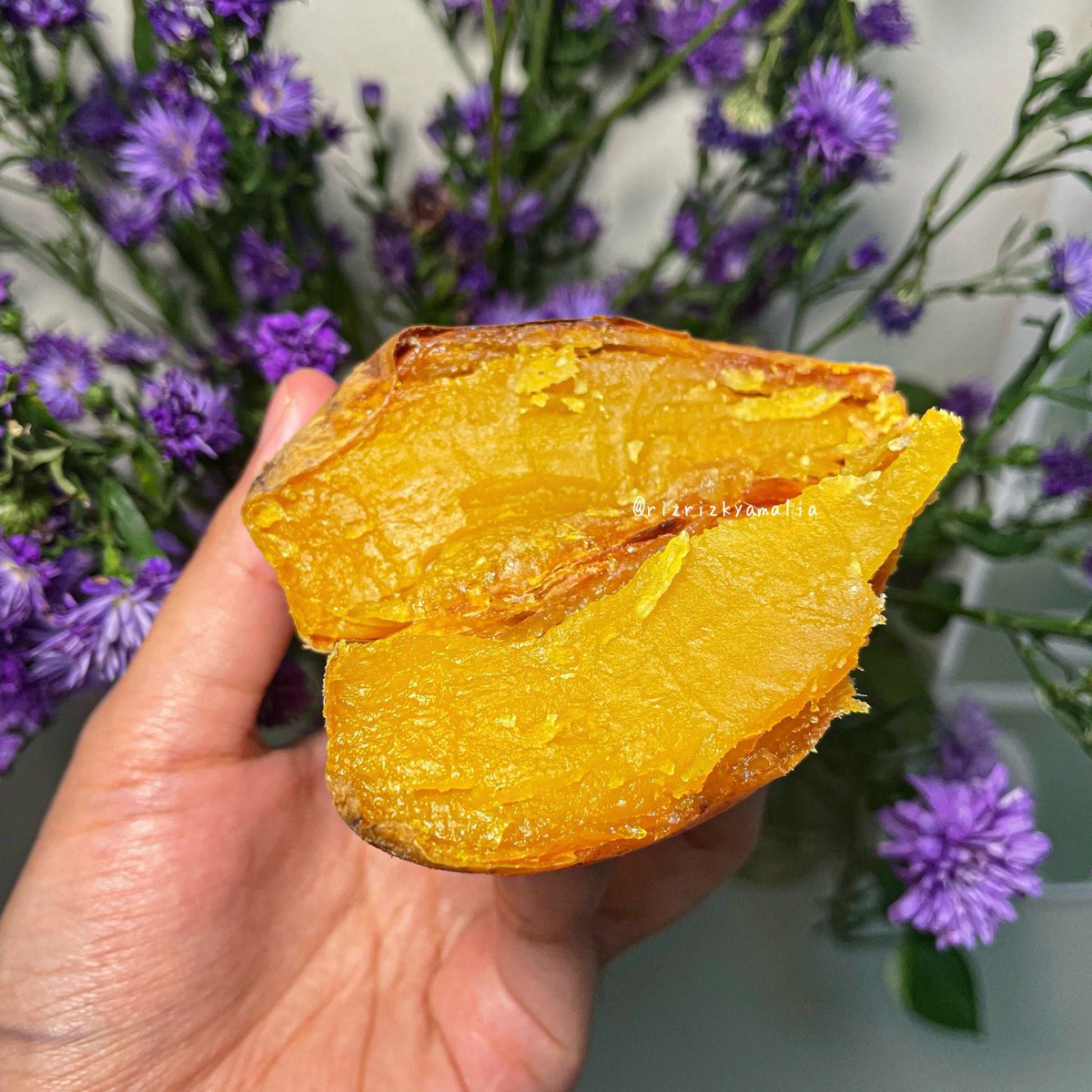 Cara Panggang Ubi (ala aku)

Siapa cinta sama ubi panggang? ☝🏼
Apalagi kalau dikombinasikan sama kopi, beuh 👍🏼

Kali ini aku mau spill cara aku manggang ubi sendiri, biar hasilnya begini dan dalamnya moist 👌🏼