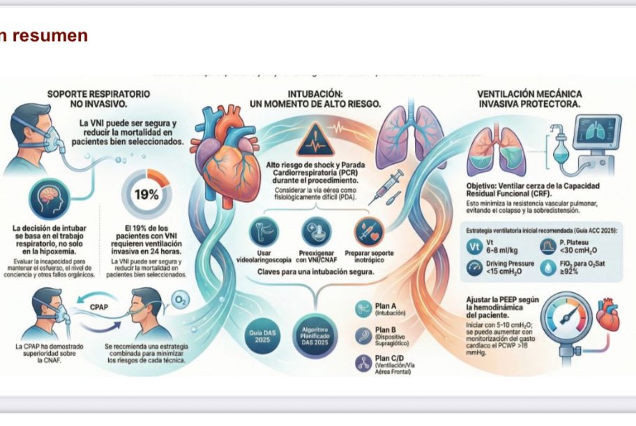 Fede Gordo-Vidal tweet media